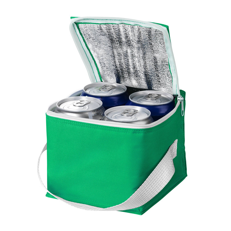 Cooler Bag